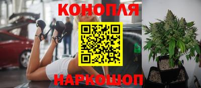 каннабис Аргун