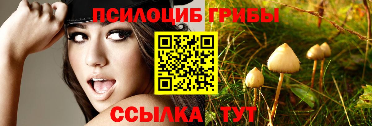 Псилоцибиновые грибы Magic Shrooms Белорецк